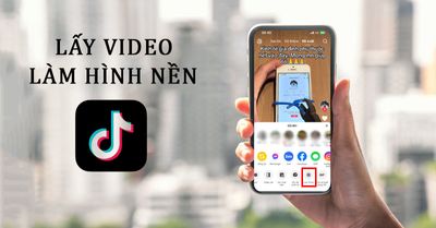 Cách Đặt Video TikTok Làm Hình Nền Cho Điện Thoại – Hướng Dẫn Đơn Giản 2025