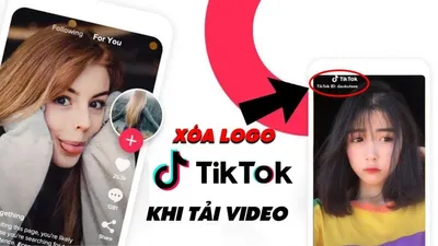 Tải Video TikTok Không Logo Nhanh Miễn Phí | Download TikTok HD 2025