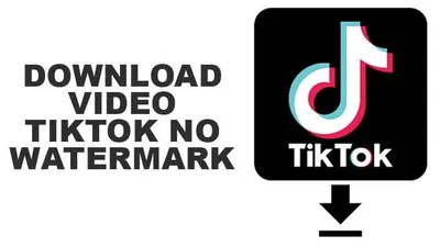 How to Download Halloween TikTok Videos in HD Without Watermark at DownloadVideo.vn